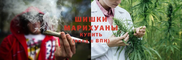 ГАЛЛЮЦИНОГЕННЫЕ ГРИБЫ Алексин