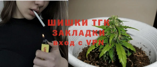 ГАЛЛЮЦИНОГЕННЫЕ ГРИБЫ Алексин