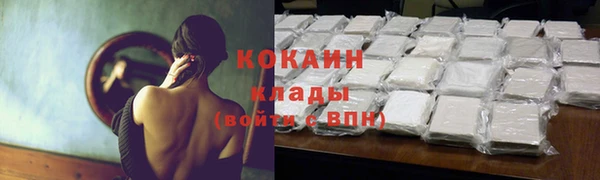 ГАЛЛЮЦИНОГЕННЫЕ ГРИБЫ Бикин