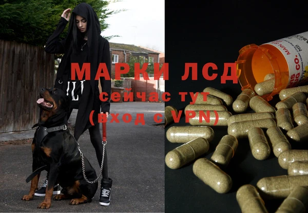 ГАЛЛЮЦИНОГЕННЫЕ ГРИБЫ Алексин
