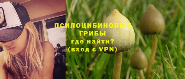 крисы Алексеевка