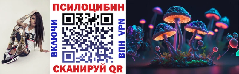 блэк спрут ТОР  купить наркотик  Шелехов  Псилоцибиновые грибы мицелий 